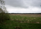 Margot Klingers : VWG vogelreis Oost Duitsland mei 2010, m.klingers